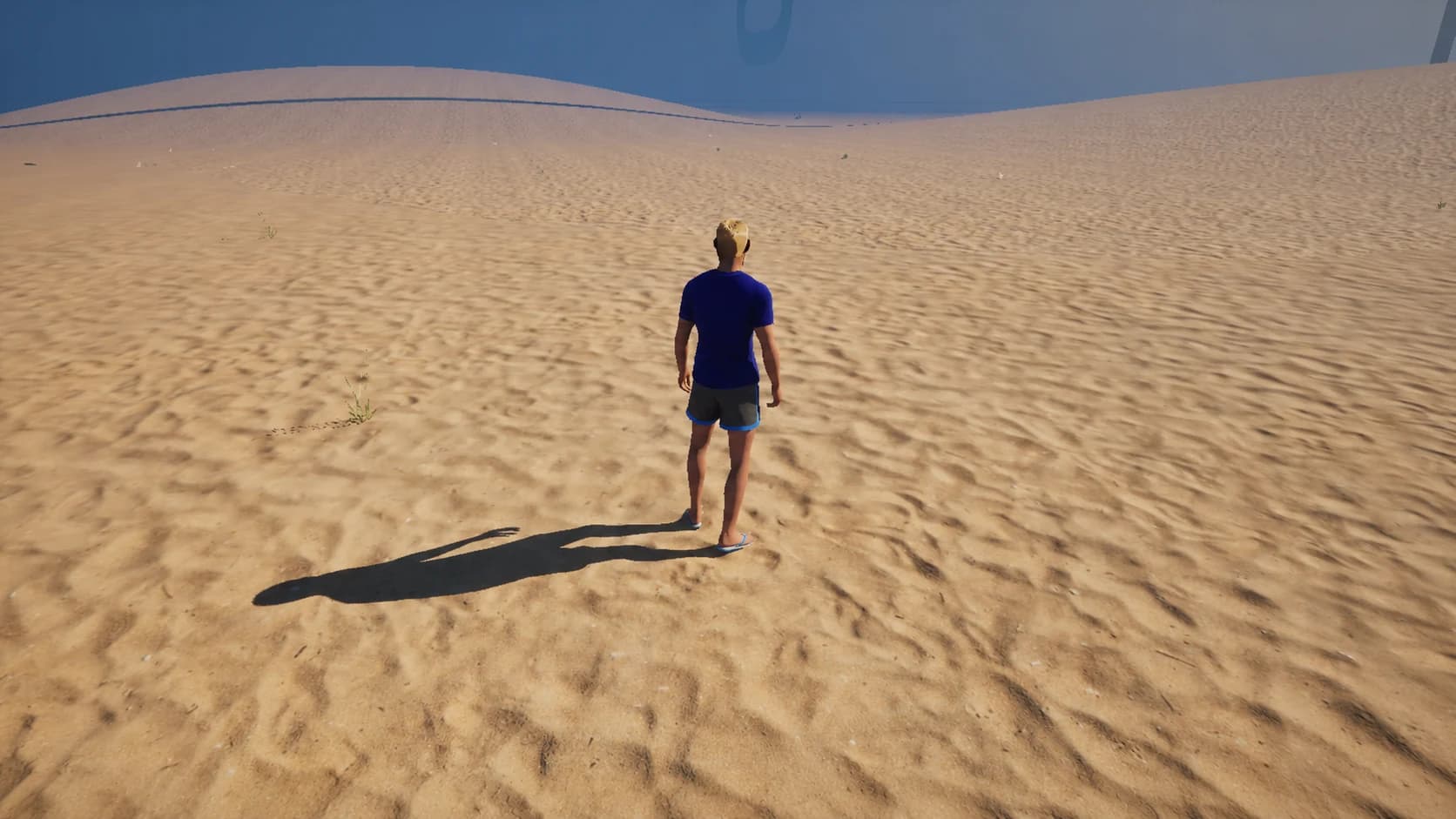 Coastal Dunes landscape in Zielinski Metaverse