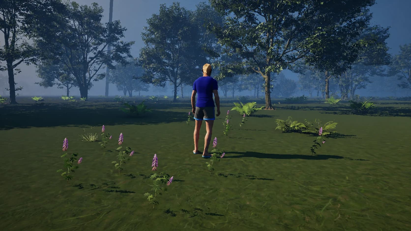 Meadow Transition landscape in Zielinski Metaverse